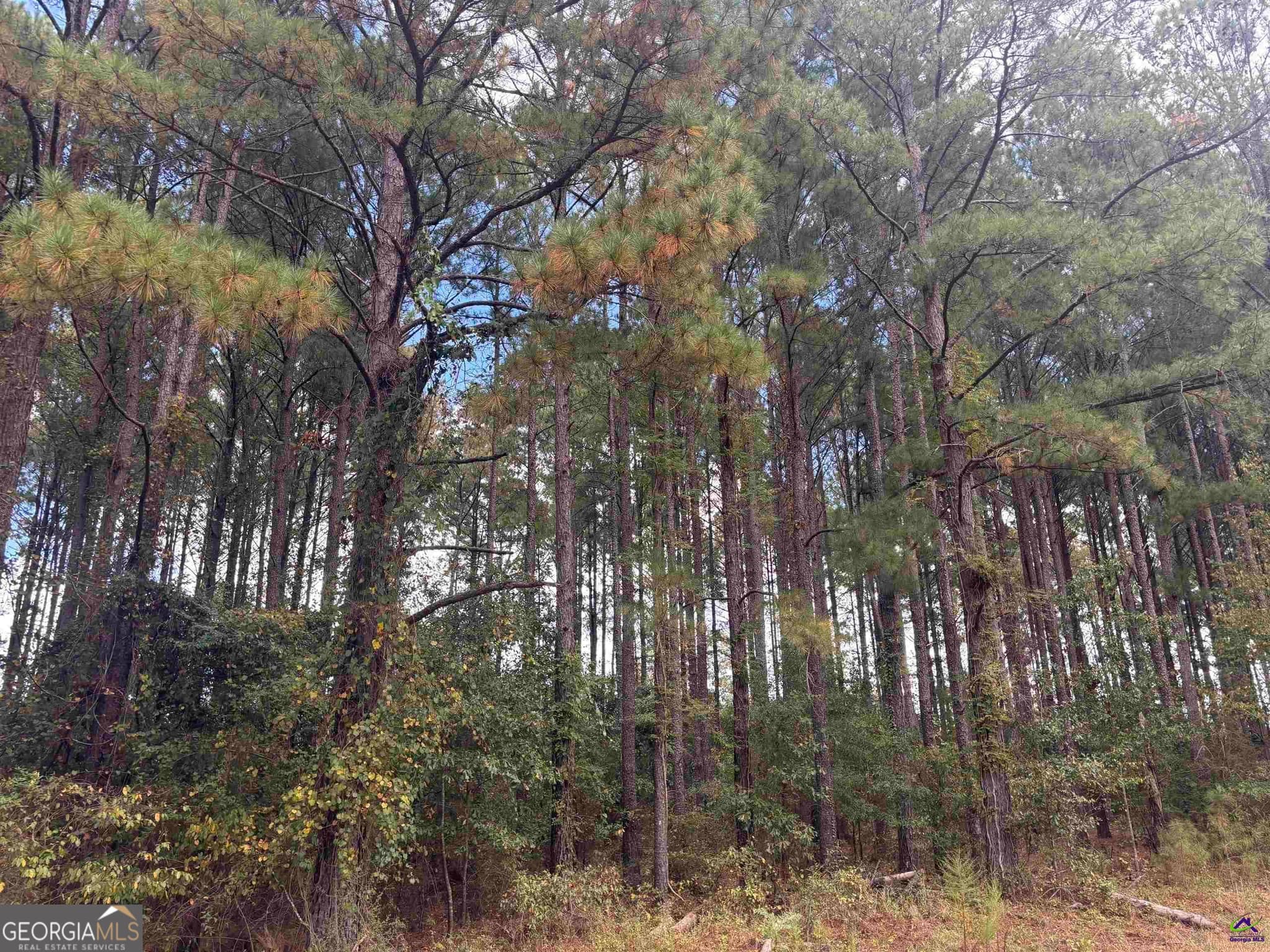 residential lot for sale at LOT 5 & 6 Limestone Landing, Cochran, GA 31014