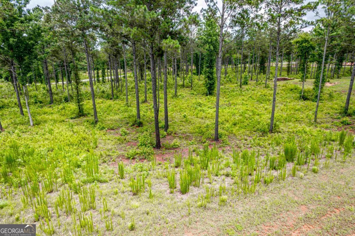 residential lot for sale at 206 Whispering Ridge, Milledgeville, GA 31061 — photo 3
