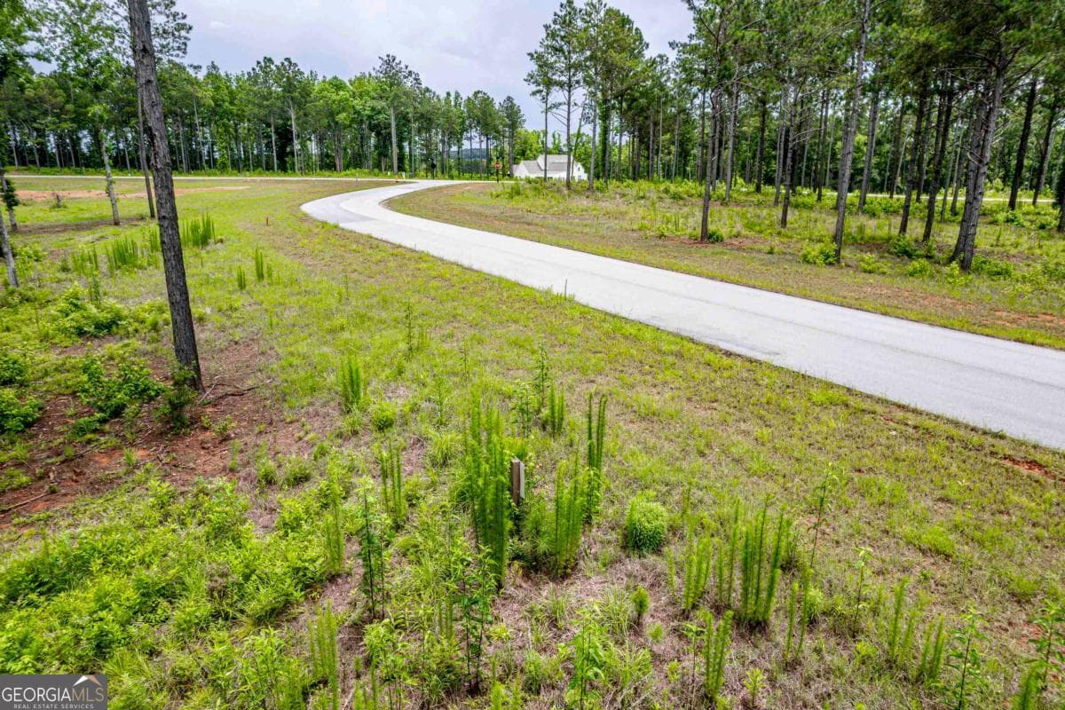 residential lot for sale at 206 Whispering Ridge, Milledgeville, GA 31061 — photo 4