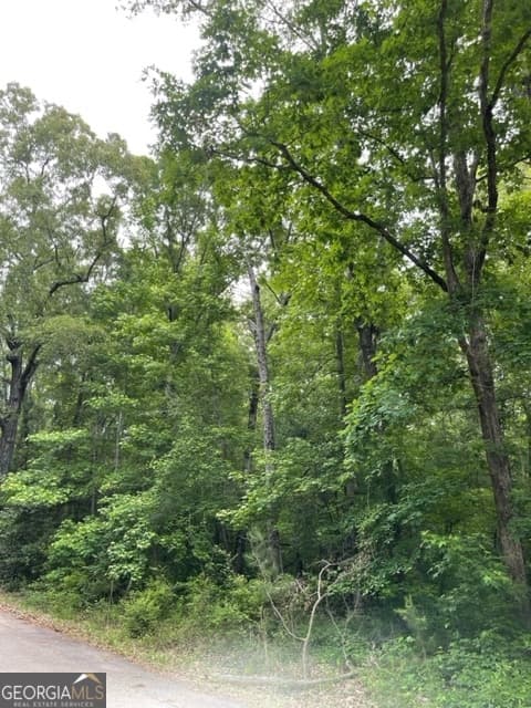 residential lot for sale at 0 Napier Drive, Eatonton, GA 31024 — photo 2