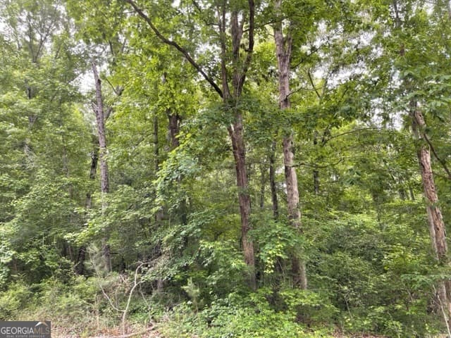 residential lot for sale at 0 Napier Drive, Eatonton, GA 31024 — photo 1 of 3