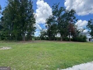 residential lot for sale at 3946 Timber Ridge Road, Valdosta, GA 31601 — photo 6