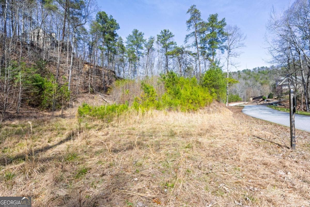 residential lot for sale at 53 Somerset Lane, Cartersville, GA 30121 — photo 3