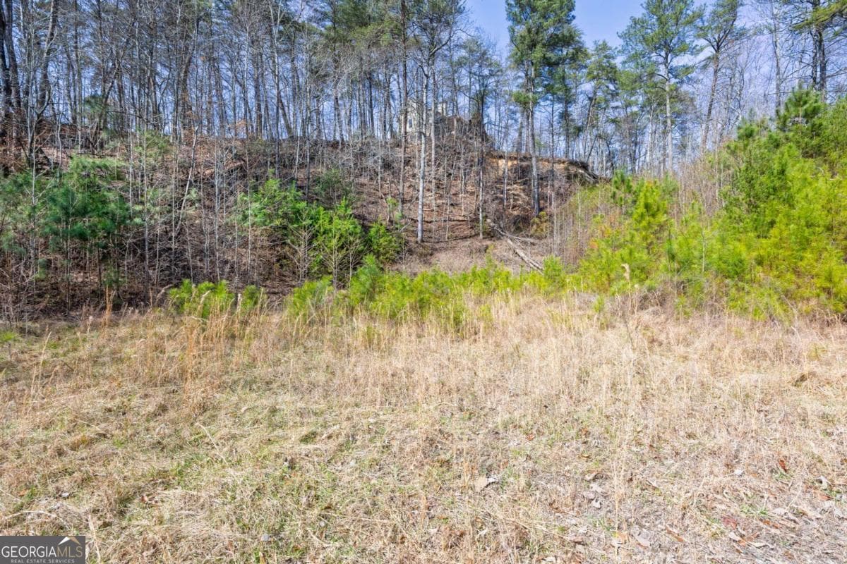 residential lot for sale at 53 Somerset Lane, Cartersville, GA 30121 — photo 5