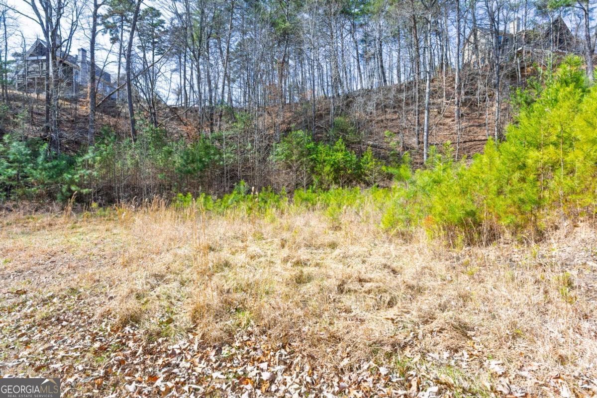 residential lot for sale at 53 Somerset Lane, Cartersville, GA 30121 — photo 4