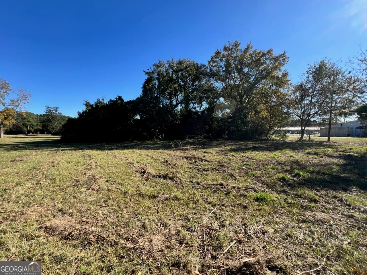 unimproved land for sale at 723 1/2 S Main Street, Statesboro, GA 30458 — photo 6