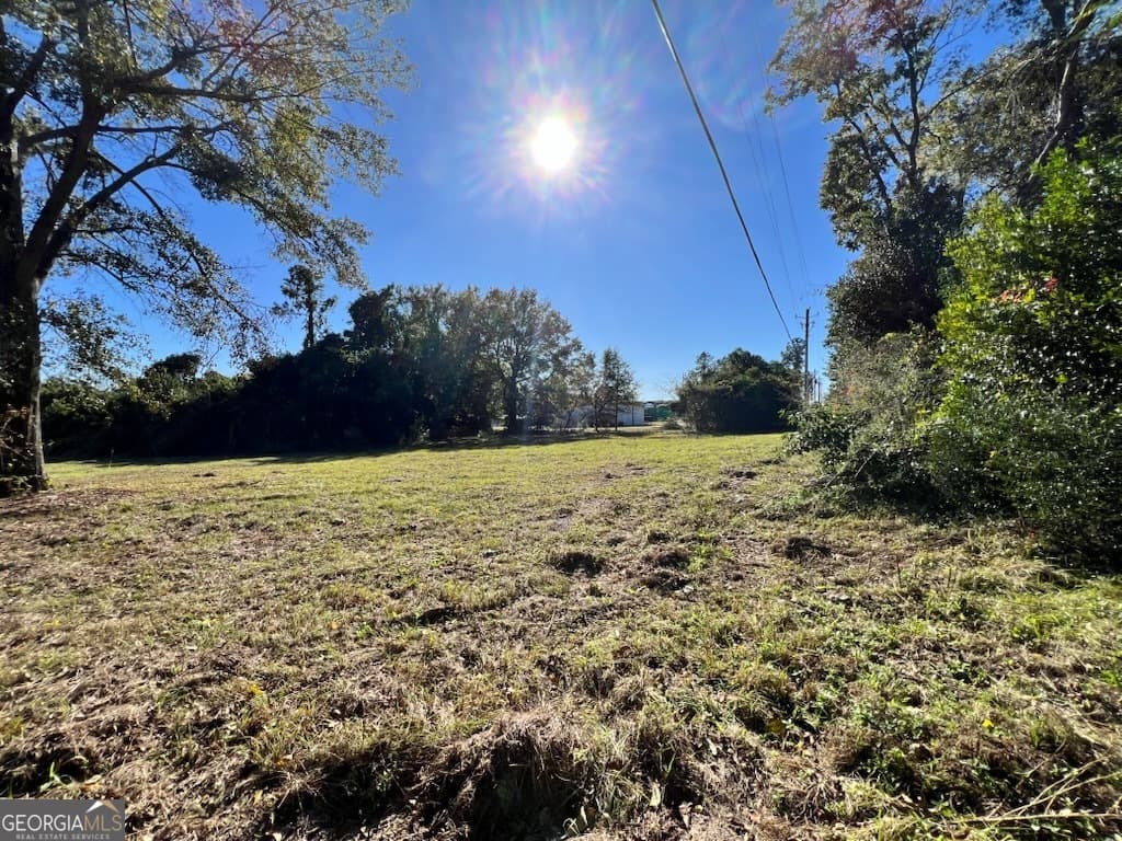 unimproved land for sale at 723 1/2 S Main Street, Statesboro, GA 30458 — photo 7