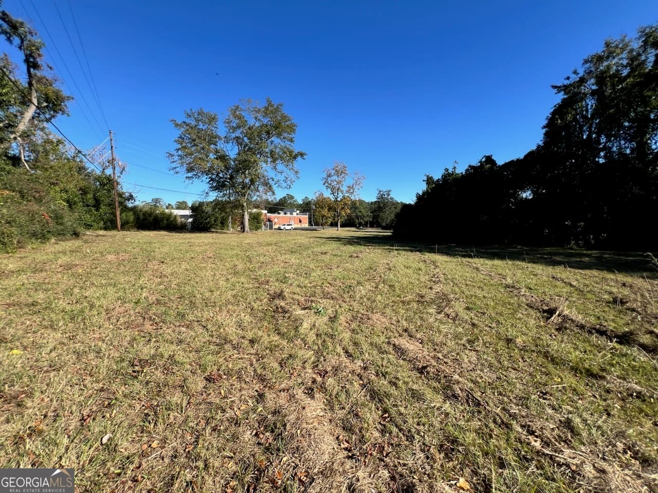 unimproved land for sale at 723 1/2 S Main Street, Statesboro, GA 30458 — photo 3