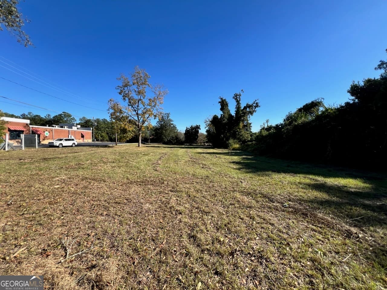 unimproved land for sale at 723 1/2 S Main Street, Statesboro, GA 30458 — photo 5
