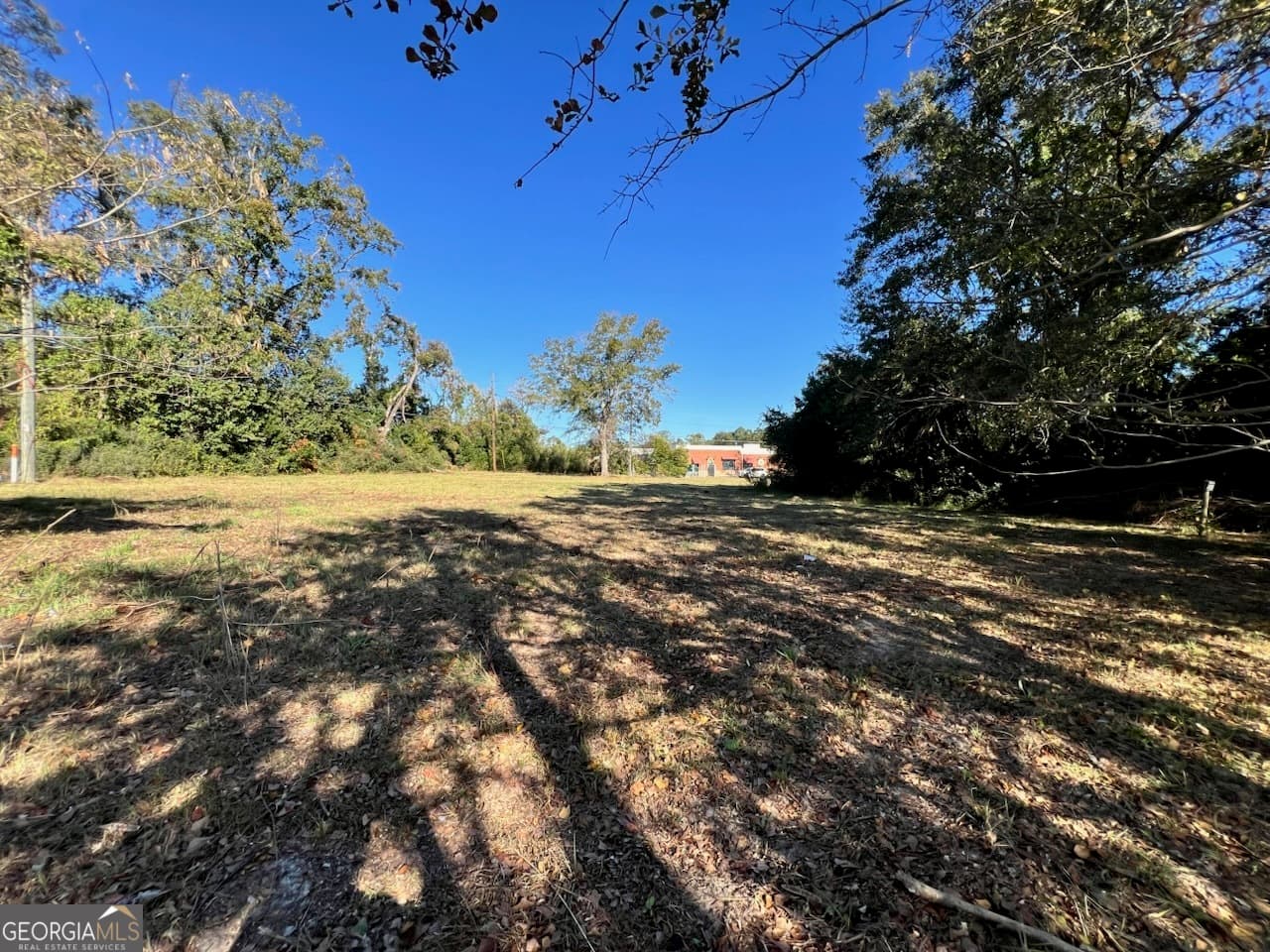 unimproved land for sale at 723 1/2 S Main Street, Statesboro, GA 30458 — photo 4