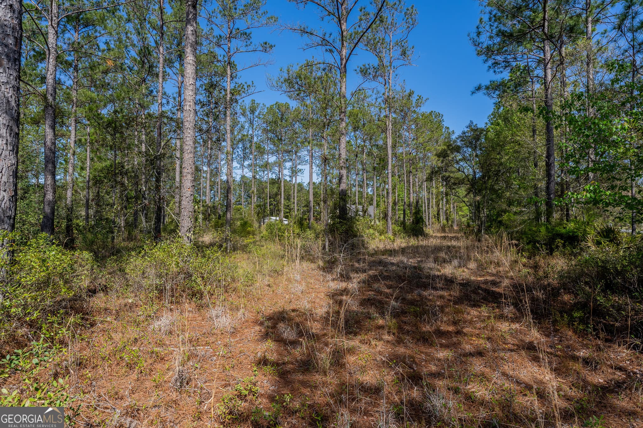 residential lot for sale at 0 Highway 110 (2.02 acres), Hortense, GA 31543 — photo 9
