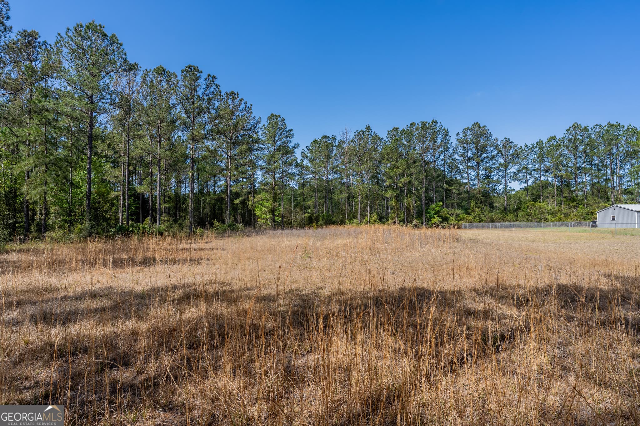 residential lot for sale at 0 Highway 110 (2.02 acres), Hortense, GA 31543 — photo 10