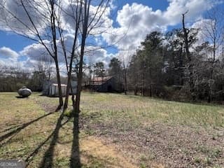 agriculture for sale at 3000 Highway 78, Loganville, GA 30052 — photo 6