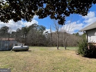 agriculture for sale at 3000 Highway 78, Loganville, GA 30052 — photo 5