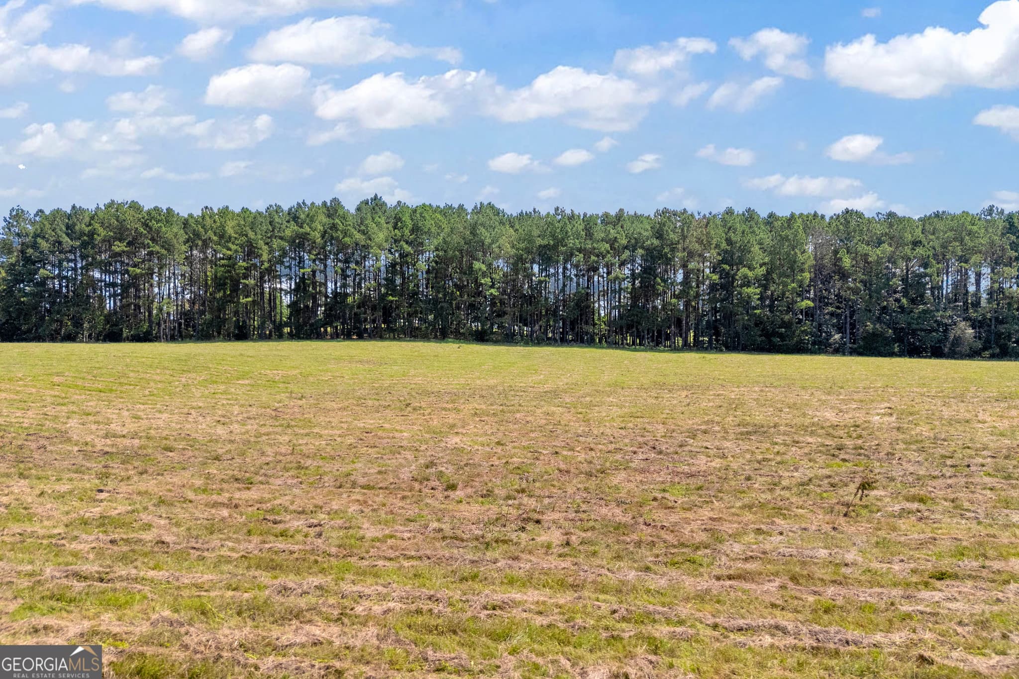 4 bedroom, 2.5 bathroom, 3,008 sq ft farm for sale at 3248 Metasville Road, Washington, GA 30673 — photo 2
