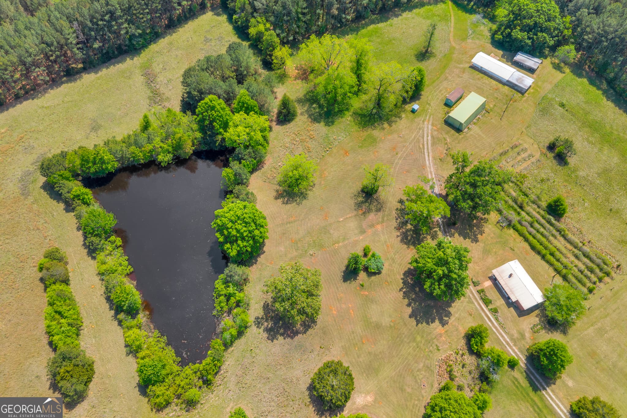 4 bedroom, 2.5 bathroom, 3,008 sq ft farm for sale at 3248 Metasville Road, Washington, GA 30673 — photo 9