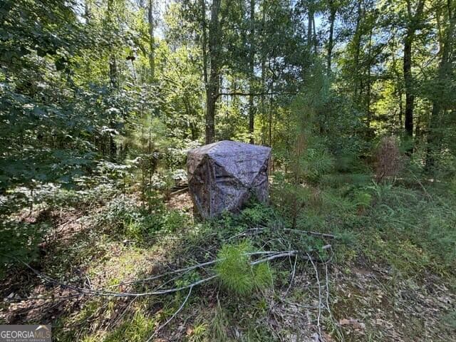 unimproved land for sale at 0 Kendricks Mill Road, Crawfordville, GA 30631 — photo 2