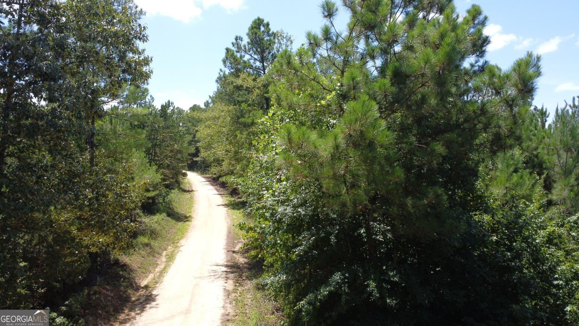 unimproved land for sale at 0 Kendricks Mill Road, Crawfordville, GA 30631 — photo 6