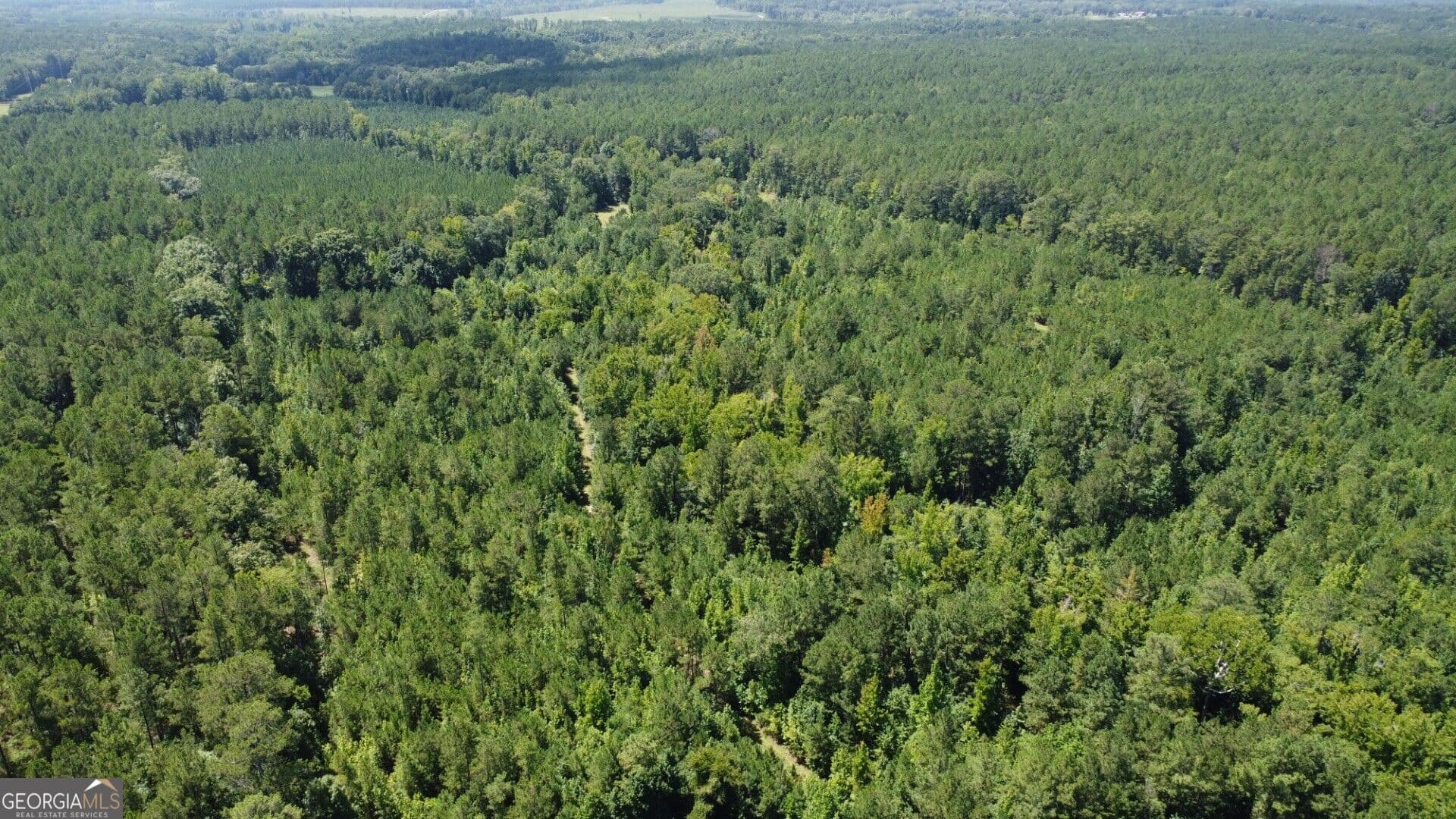 unimproved land for sale at 0 Kendricks Mill Road, Crawfordville, GA 30631 — photo 7
