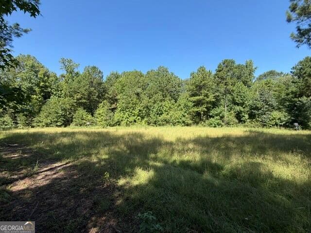 unimproved land for sale at 0 Kendricks Mill Road, Crawfordville, GA 30631 — photo 3