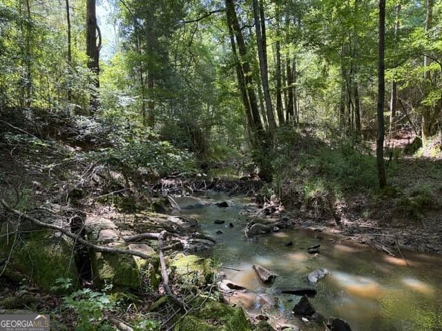 unimproved land for sale at 0 Kendricks Mill Road, Crawfordville, GA 30631 — photo 1 of 54
