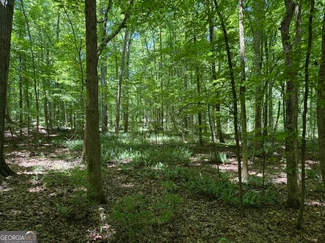 unimproved land for sale at 0 Kendricks Mill Road, Crawfordville, GA 30631 — photo 5