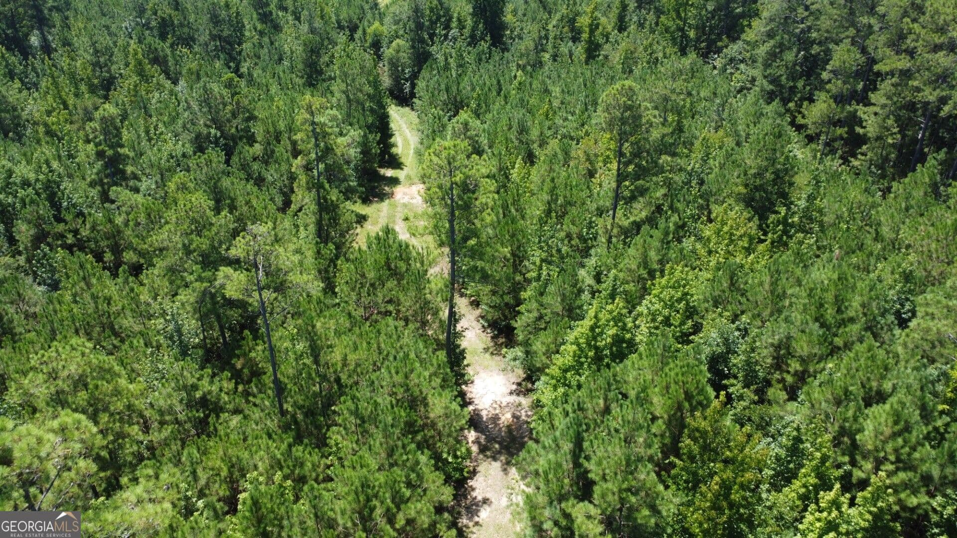 unimproved land for sale at 0 Kendricks Mill Road, Crawfordville, GA 30631 — photo 10
