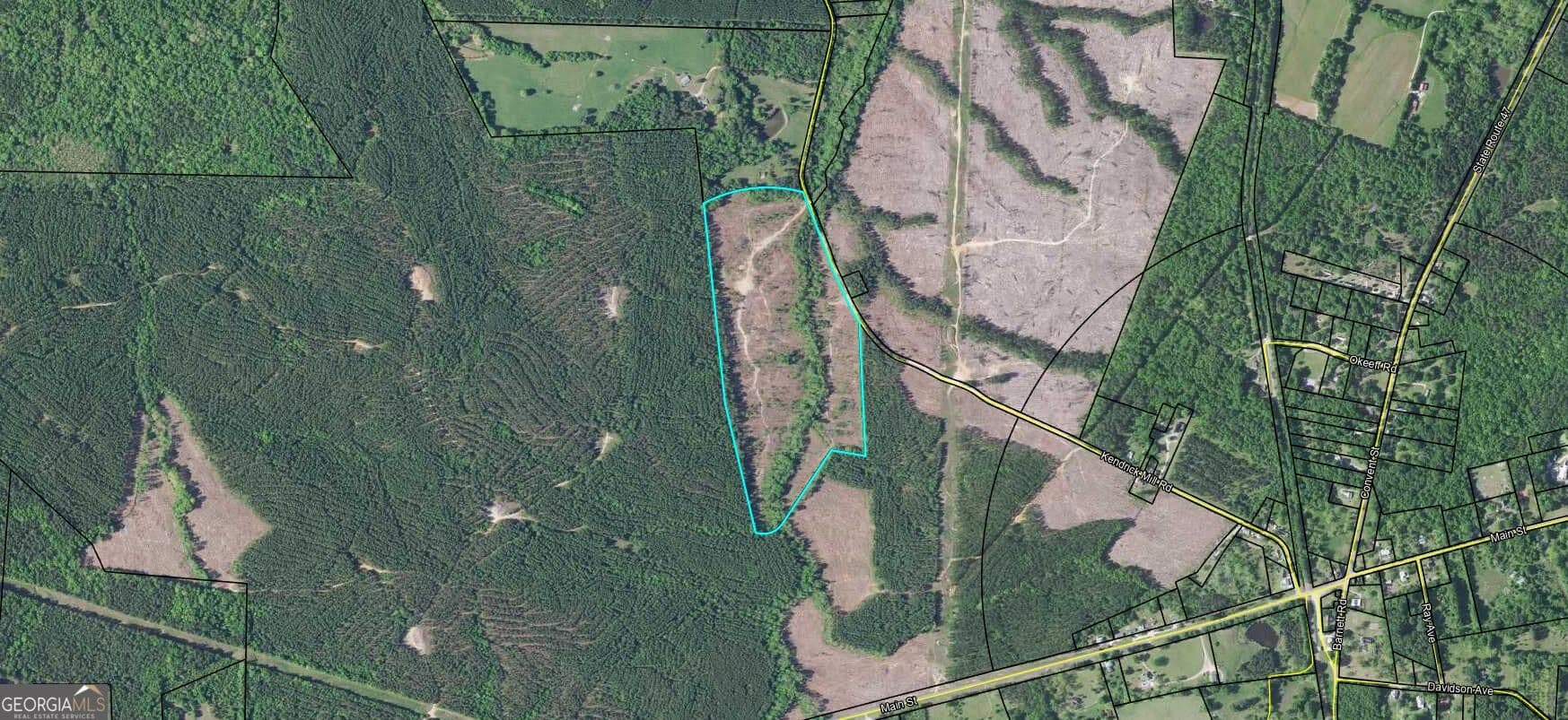 unimproved land for sale at 0 Kendricks Mill Road, Crawfordville, GA 30631 — photo 4