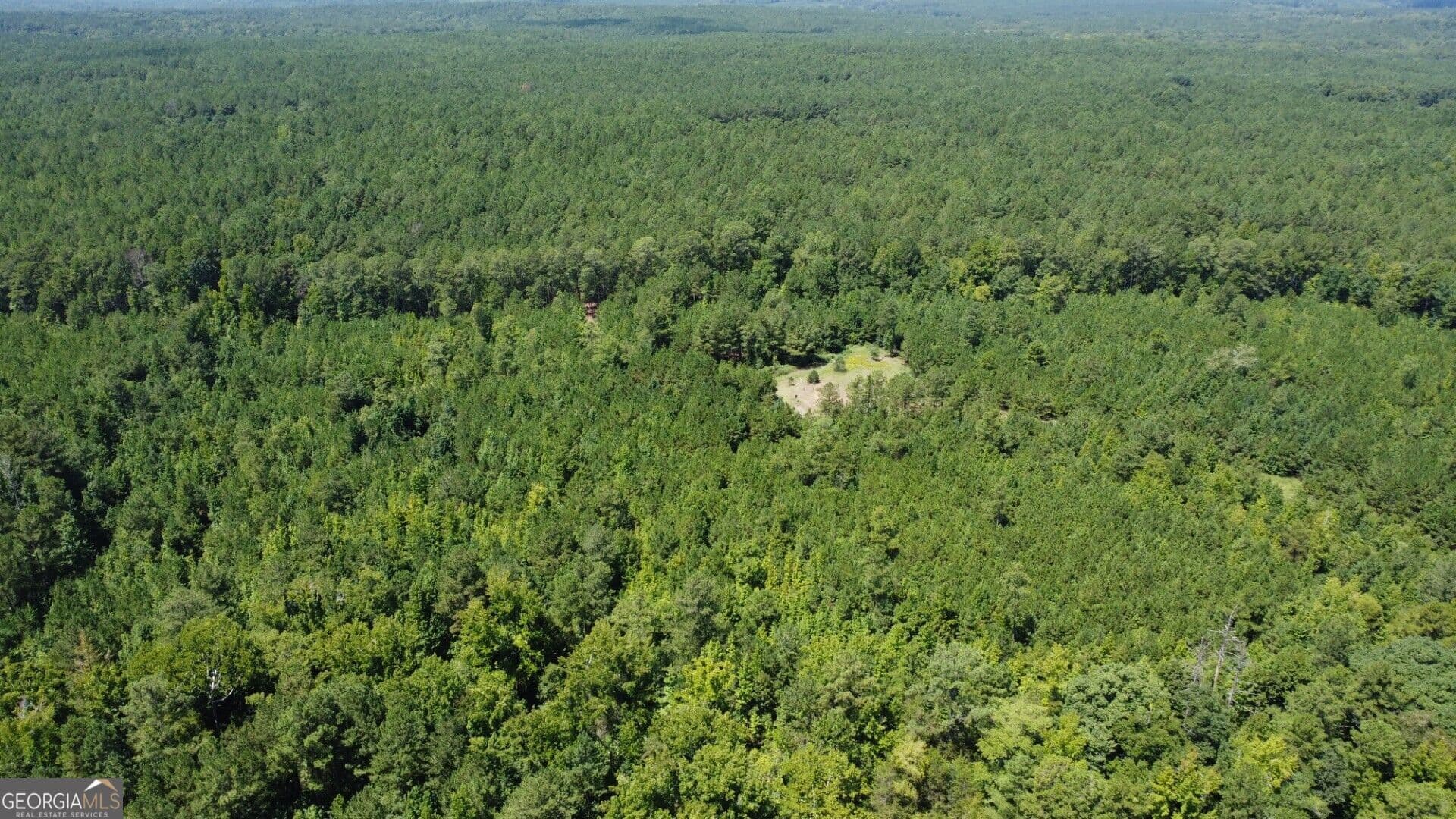 unimproved land for sale at 0 Kendricks Mill Road, Crawfordville, GA 30631 — photo 8