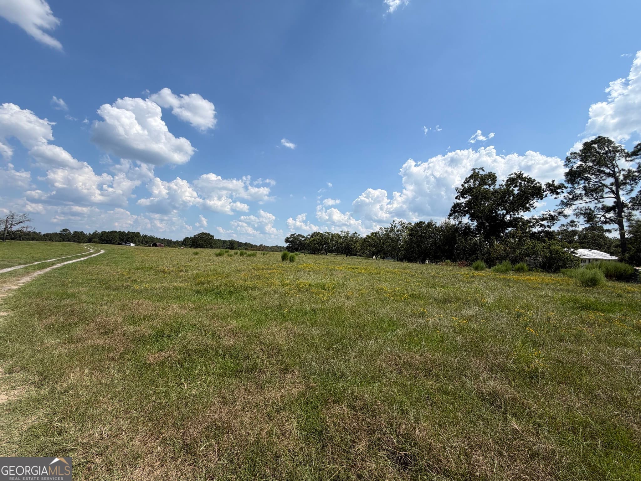 agriculture for sale at 23.03 ACRES Carters Bridge Road, Claxton, GA 30417 — photo 6