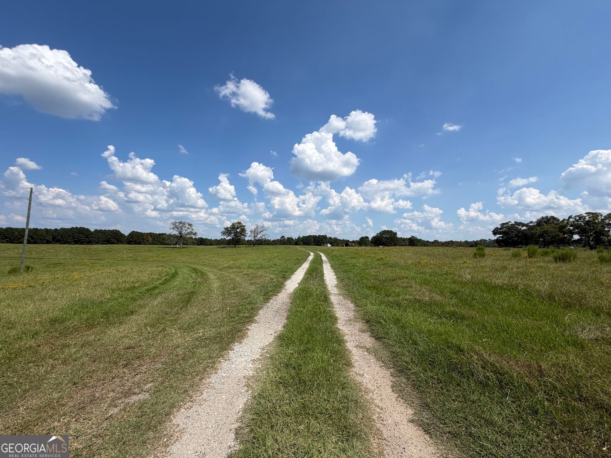 agriculture for sale at 23.03 ACRES Carters Bridge Road, Claxton, GA 30417 — photo 3