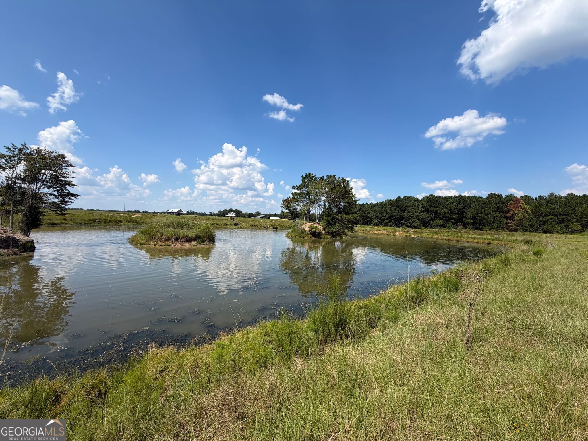 agriculture for sale at 23.03 ACRES Carters Bridge Road, Claxton, GA 30417 — photo 1 of 20