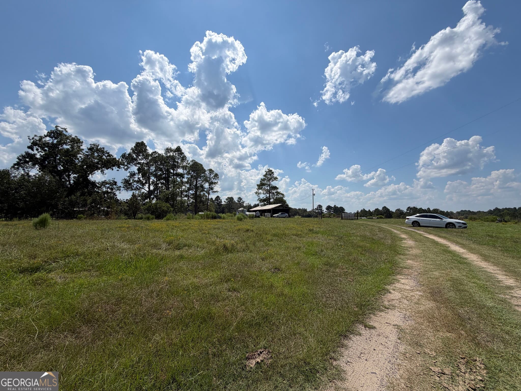 agriculture for sale at 23.03 ACRES Carters Bridge Road, Claxton, GA 30417 — photo 5