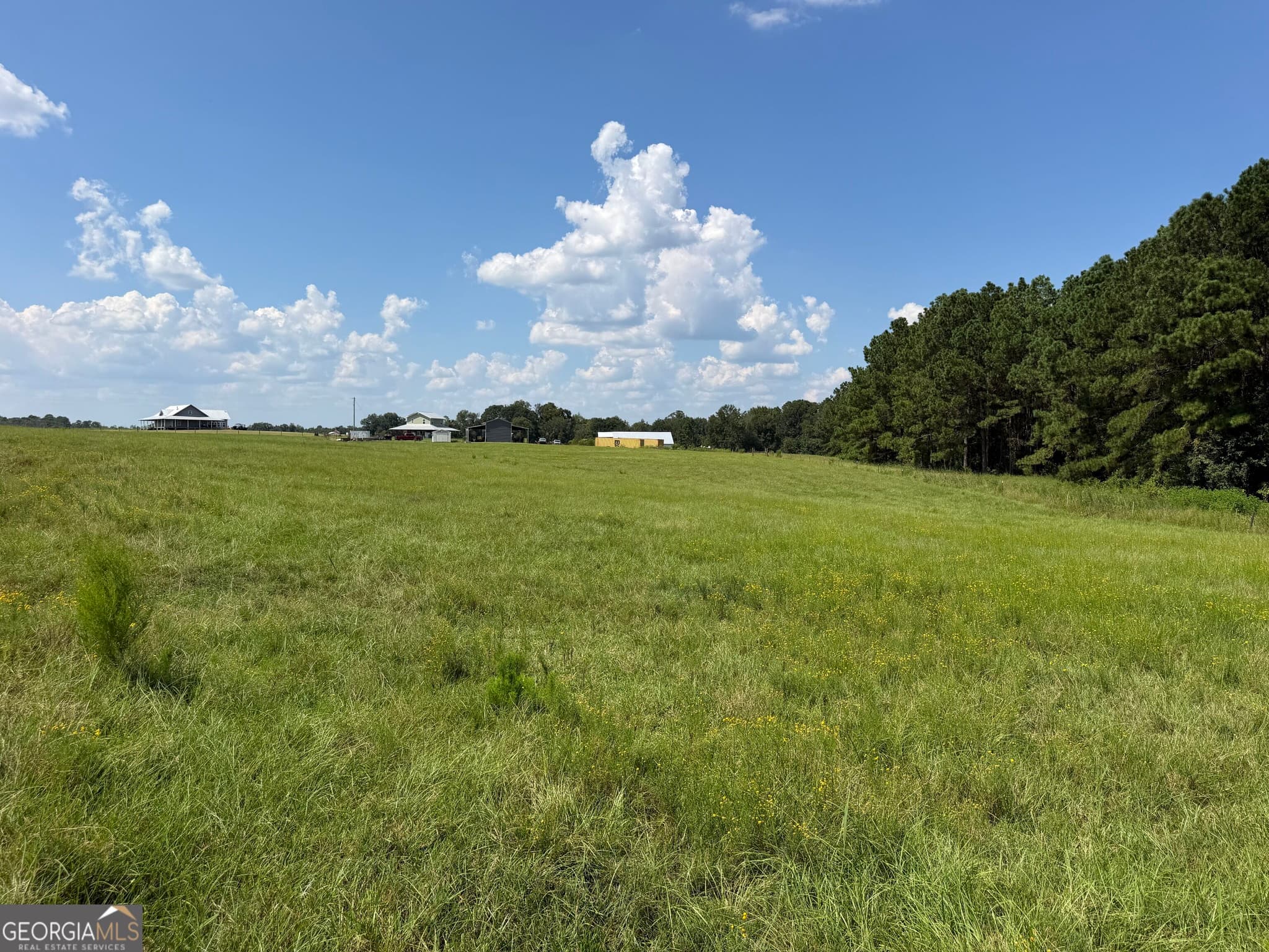 agriculture for sale at 23.03 ACRES Carters Bridge Road, Claxton, GA 30417 — photo 9