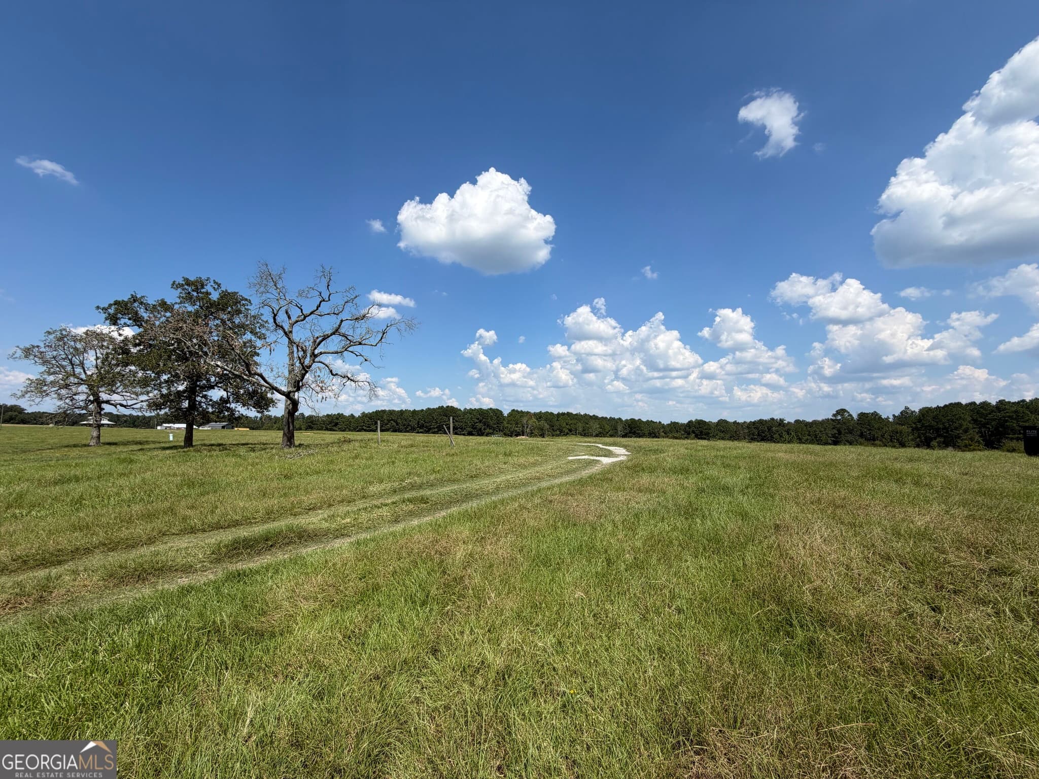 agriculture for sale at 23.03 ACRES Carters Bridge Road, Claxton, GA 30417 — photo 10