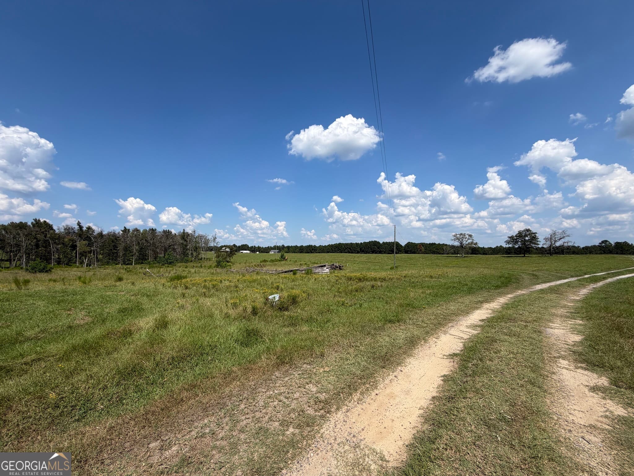 agriculture for sale at 23.03 ACRES Carters Bridge Road, Claxton, GA 30417 — photo 4