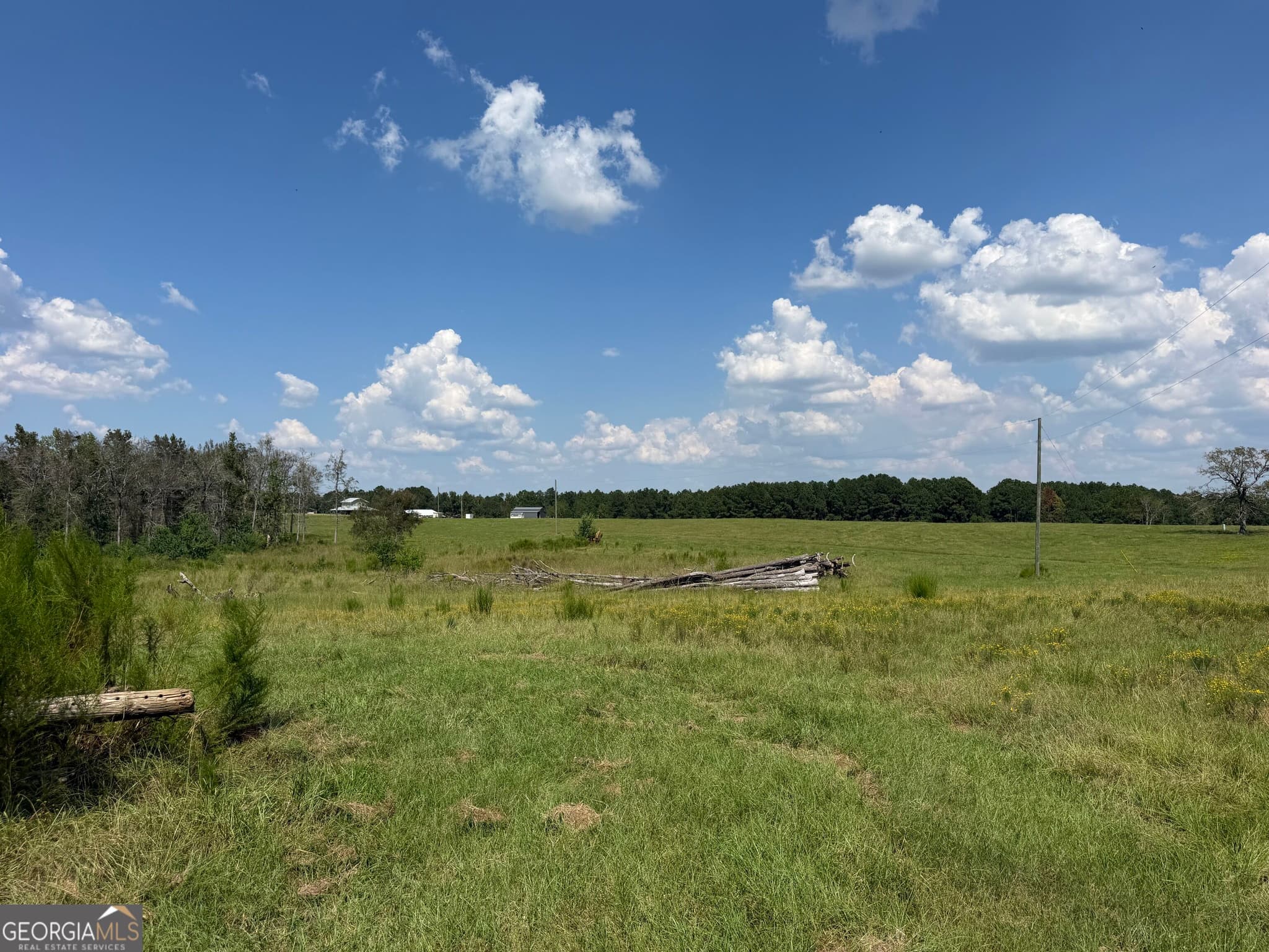 agriculture for sale at 23.03 ACRES Carters Bridge Road, Claxton, GA 30417 — photo 8