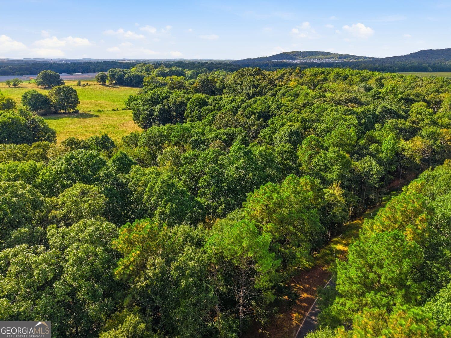 commercial for sale at TRACT4 Fiber Drive, Cartersville, GA 30120 — photo 8
