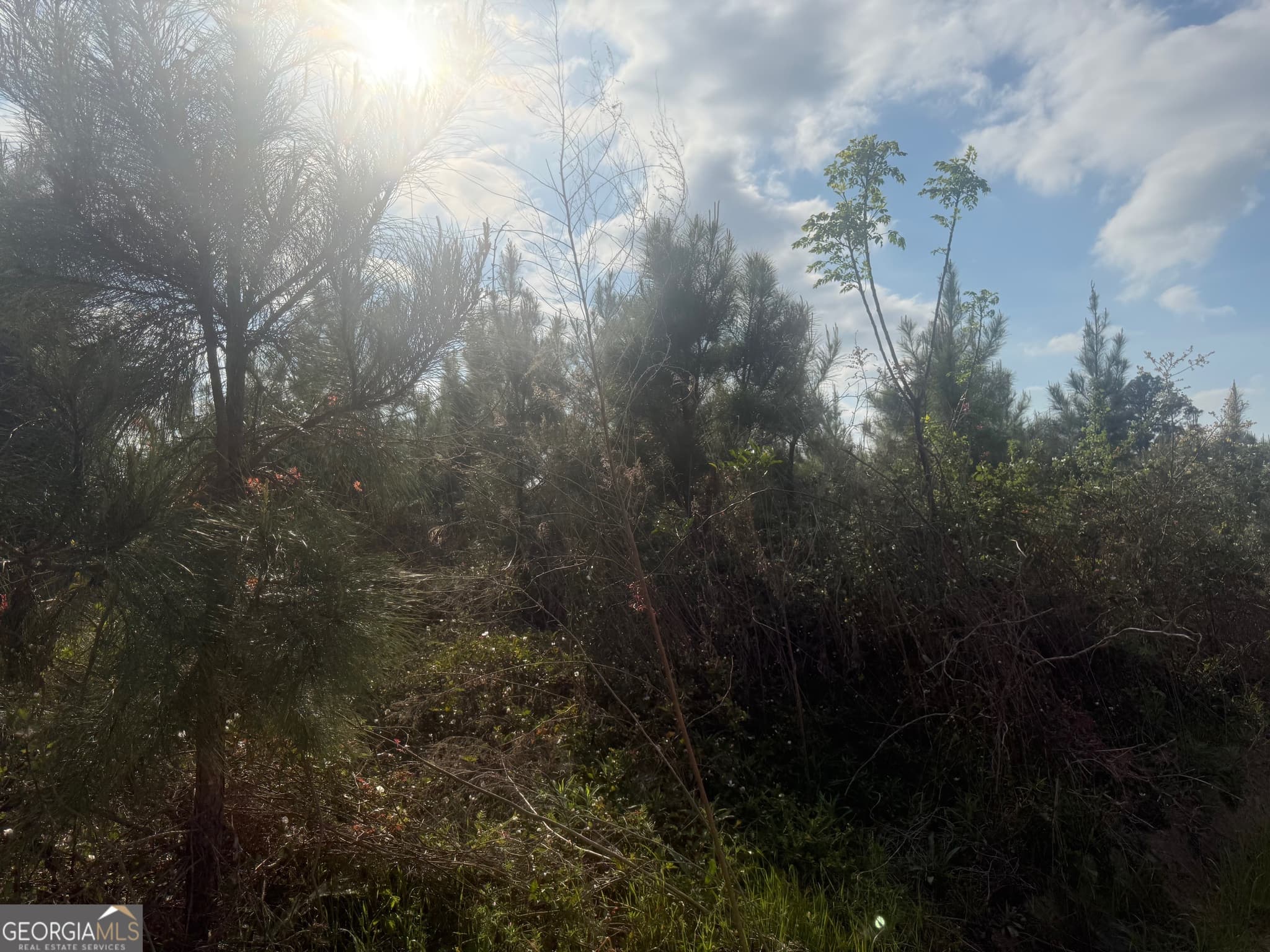 unimproved land for sale at 0 Ed Varnadoe Road, Lumber City, GA 31549 — photo 2