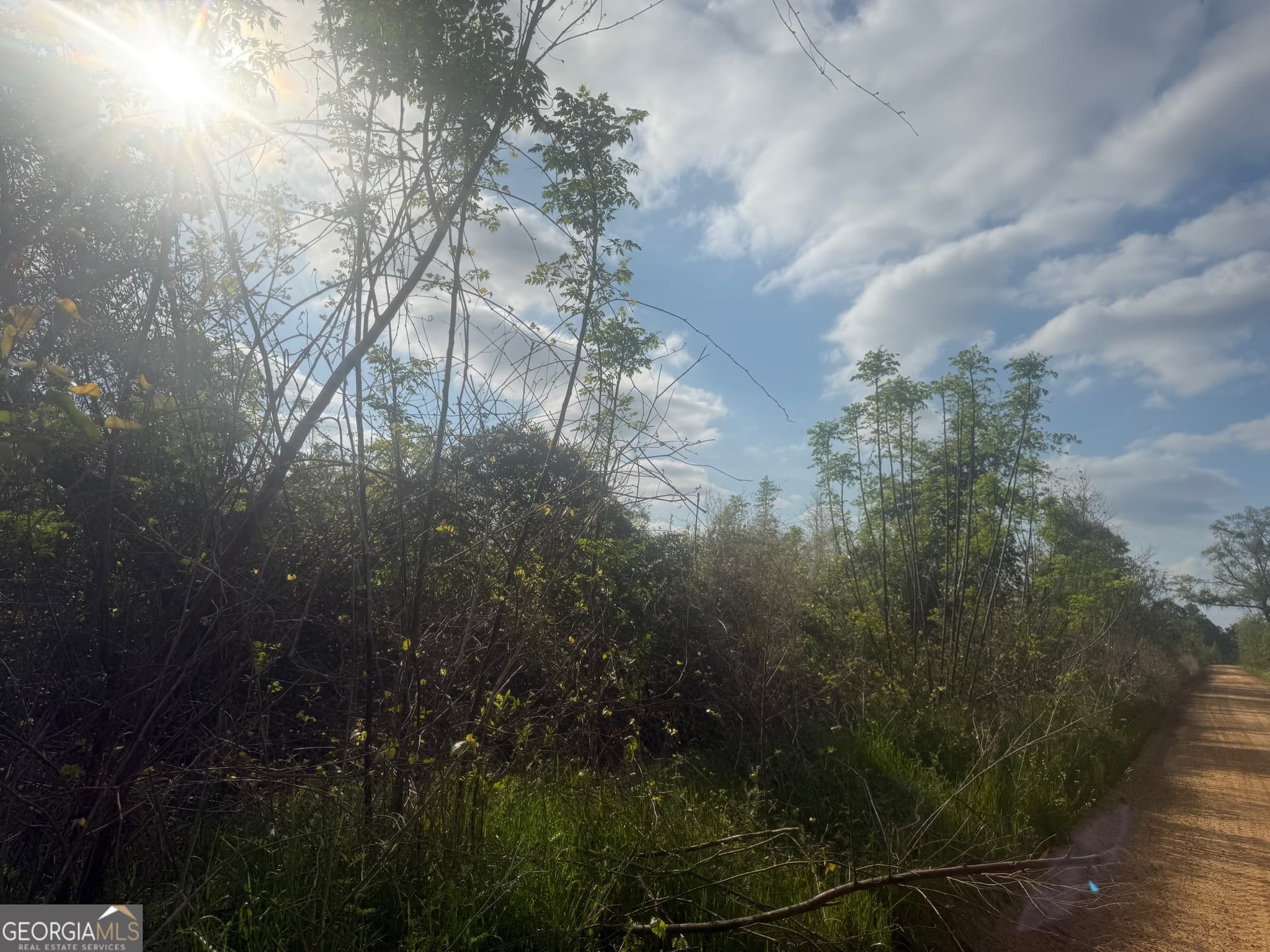 unimproved land for sale at 0 Ed Varnadoe Road, Lumber City, GA 31549 — photo 6