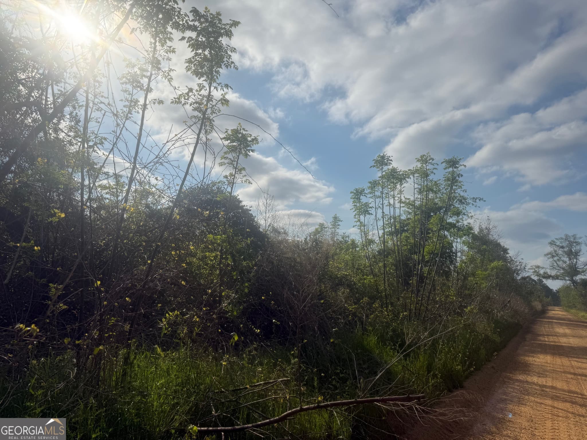 unimproved land for sale at 0 Ed Varnadoe Road, Lumber City, GA 31549 — photo 3