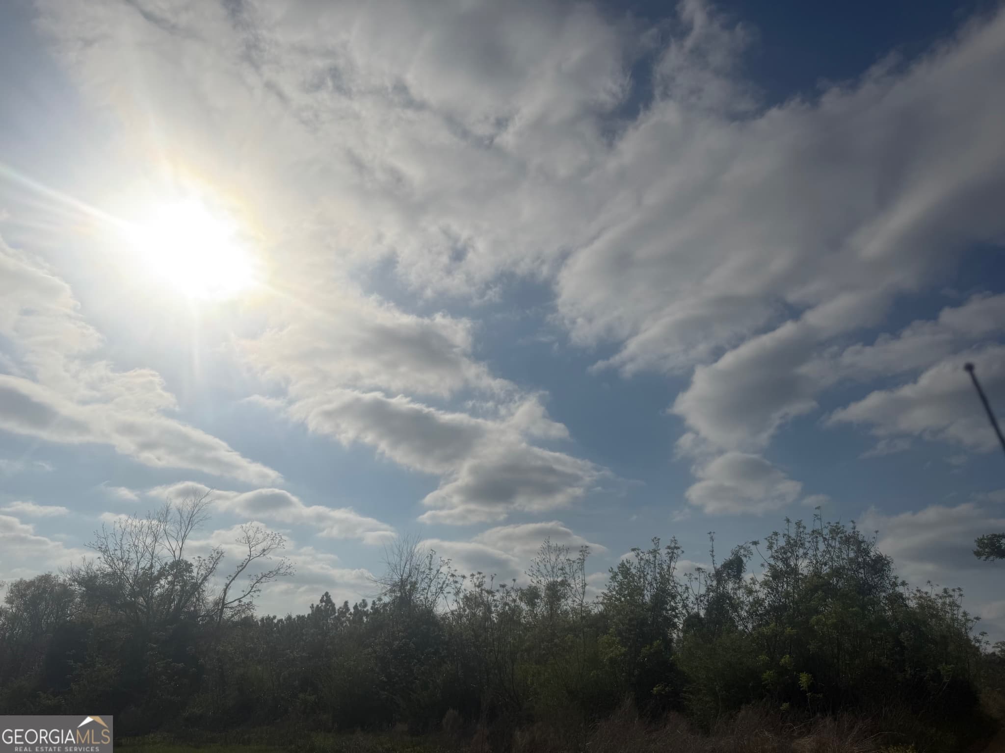 unimproved land for sale at 0 Ed Varnadoe Road, Lumber City, GA 31549