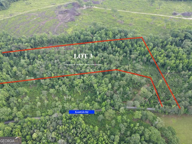 residential lot for sale at LOT 3 Kendrick, Zebulon, GA 30295 — photo 1 of 9