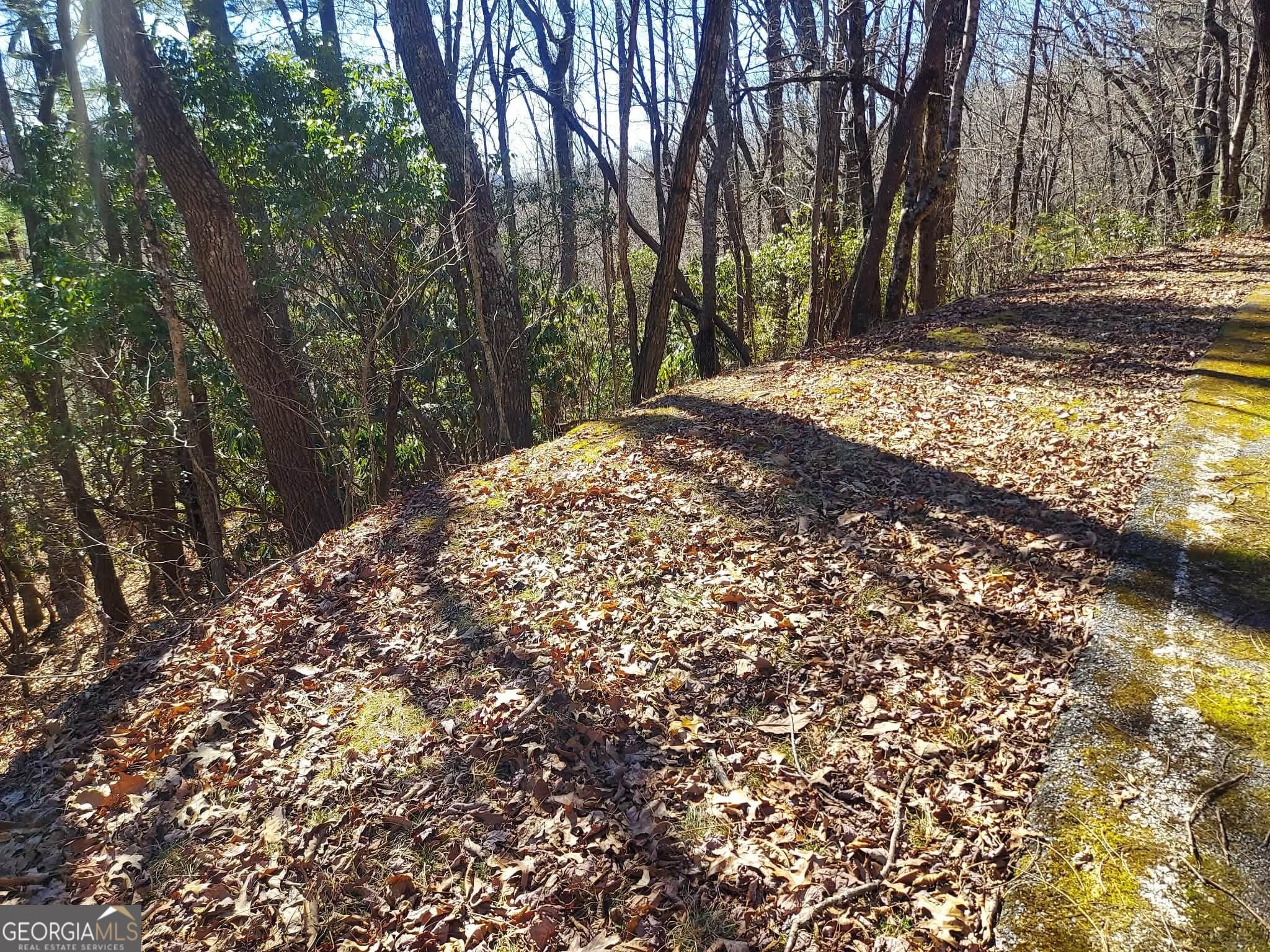 residential lot for sale at 0 LOT 41 Pipetrack Gap Road, Scaly Mtn, NC 28775 — photo 2