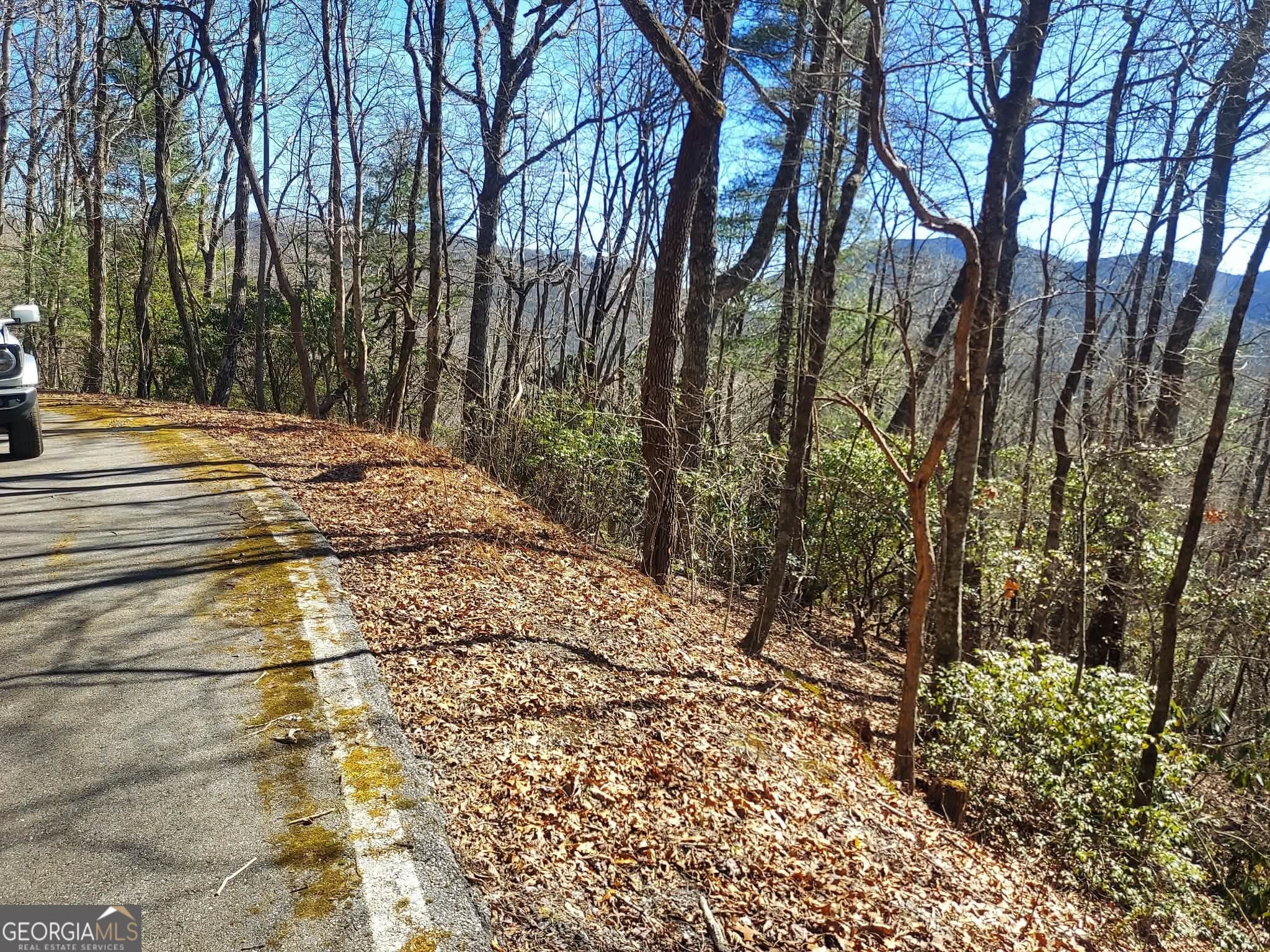 residential lot for sale at 0 LOT 41 Pipetrack Gap Road, Scaly Mtn, NC 28775 — photo 6