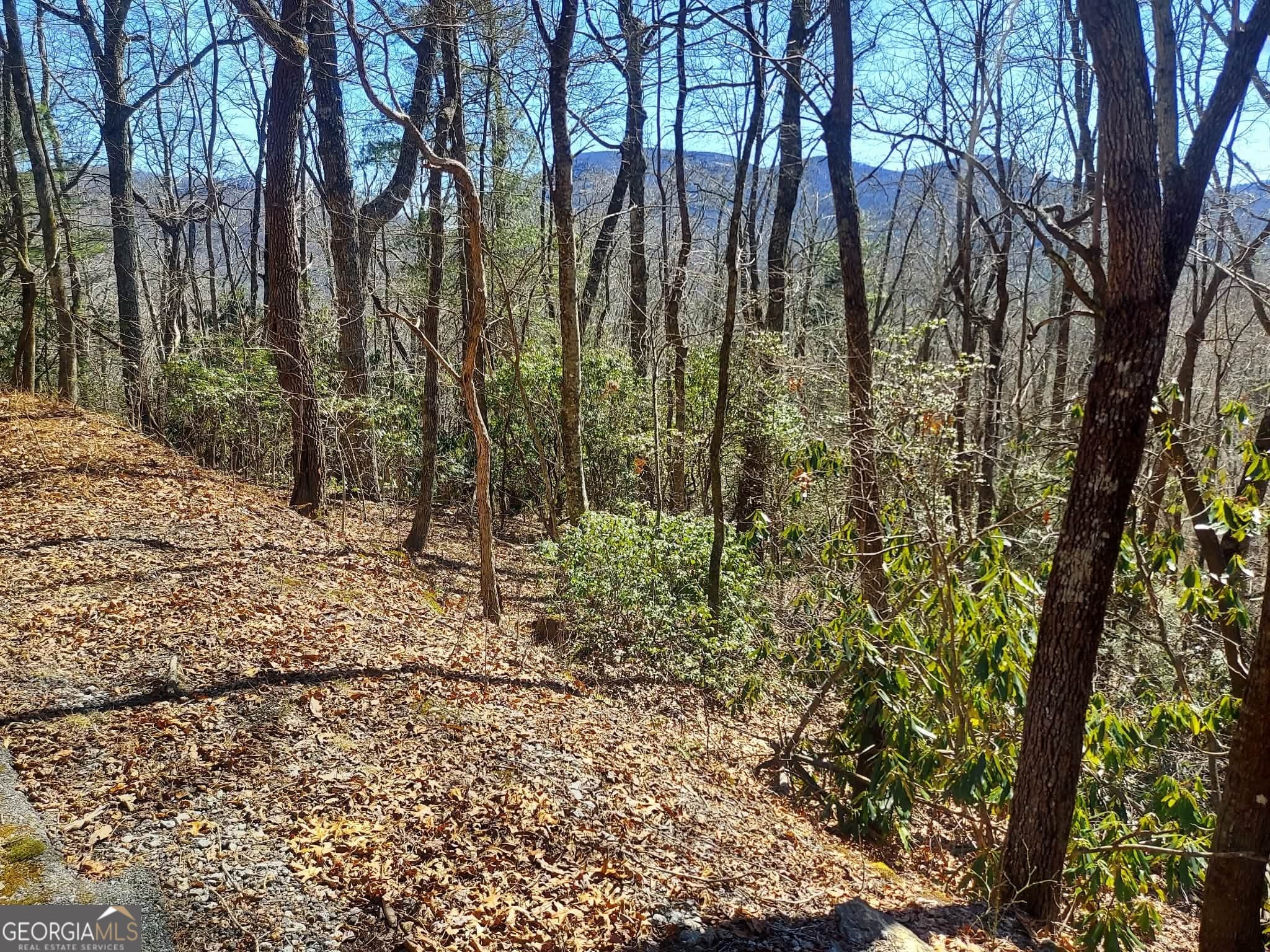 residential lot for sale at 0 LOT 41 Pipetrack Gap Road, Scaly Mtn, NC 28775 — photo 7