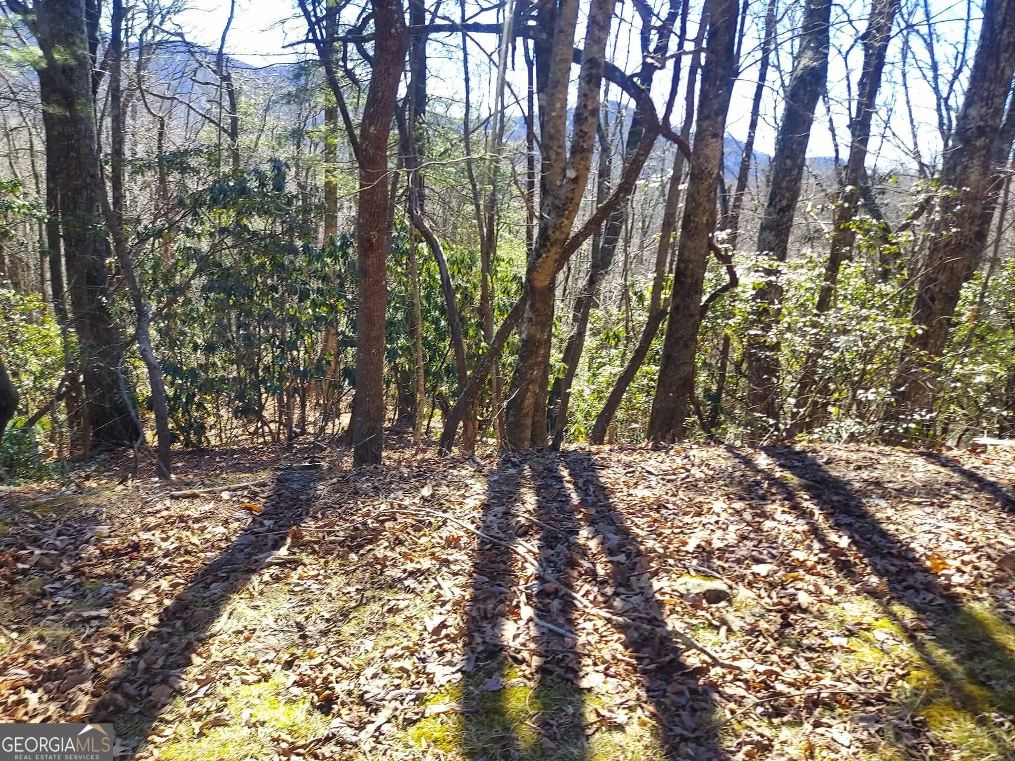 residential lot for sale at 0 LOT 41 Pipetrack Gap Road, Scaly Mtn, NC 28775 — photo 3