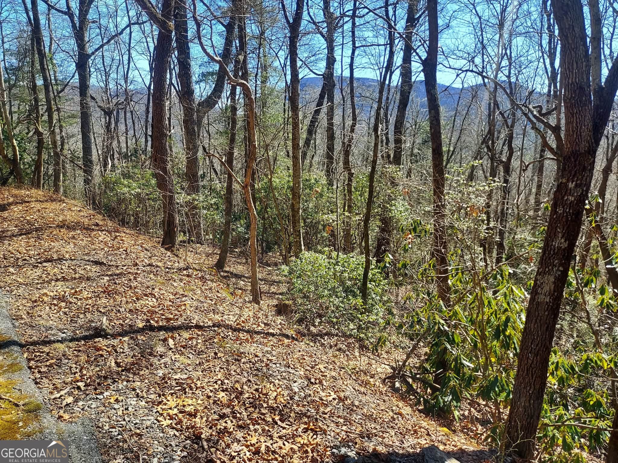 residential lot for sale at 0 LOT 41 Pipetrack Gap Road, Scaly Mtn, NC 28775