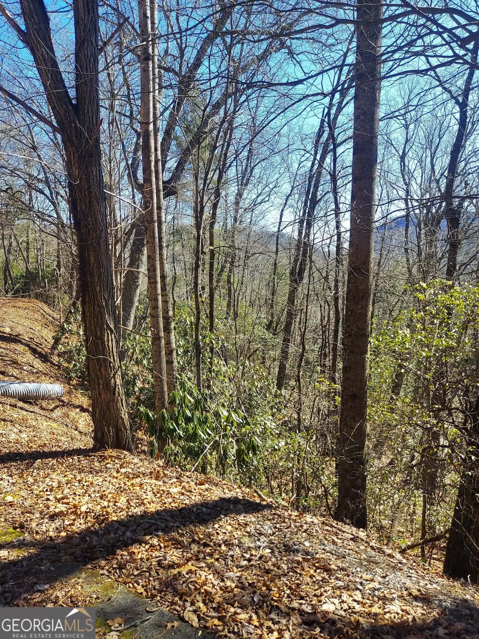 residential lot for sale at 0 LOT 41 Pipetrack Gap Road, Scaly Mtn, NC 28775 — photo 5