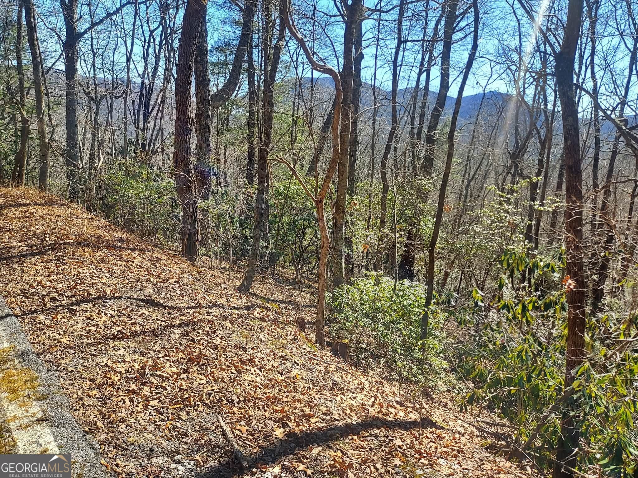 residential lot for sale at 0 LOT 41 Pipetrack Gap Road, Scaly Mtn, NC 28775 — photo 4